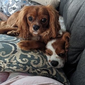 Meet your Posher, Annemarie